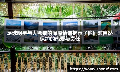 英国威廉希尔williamhill平台