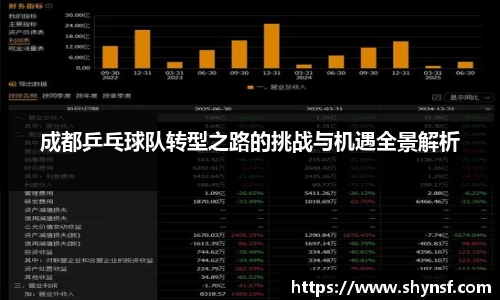 成都乒乓球队转型之路的挑战与机遇全景解析