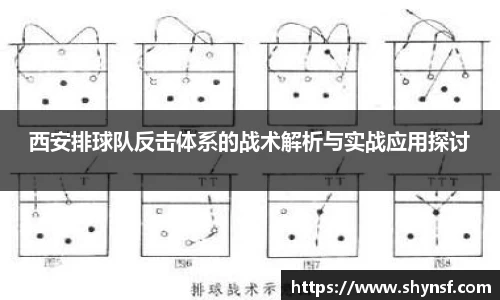 西安排球队反击体系的战术解析与实战应用探讨